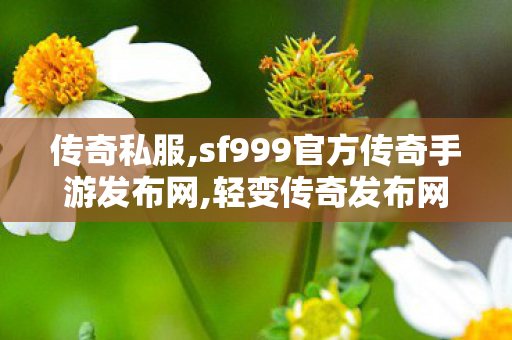 传奇私服,sf999官方传奇手游发布网,轻变传奇发布网,传世私服发布网新开服,轻变传奇发布网