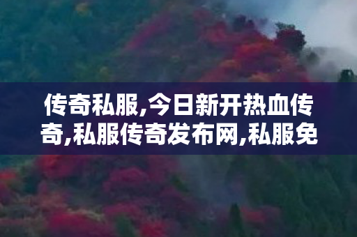 传奇私服,今日新开热血传奇,私服传奇发布网,私服免费发布,私服传奇发布网