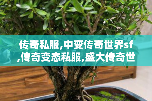 传奇私服,中变传奇世界sf,传奇变态私服,盛大传奇世界,传奇变态私服