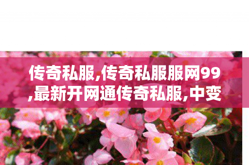 传奇私服,传奇私服服网99,最新开网通传奇私服,中变复古传奇私服,最新开网通传奇私服