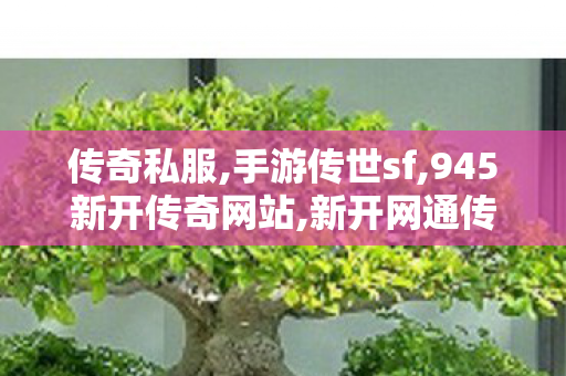 传奇私服,手游传世sf,945新开传奇网站,新开网通传奇发布网,945新开传奇网站
