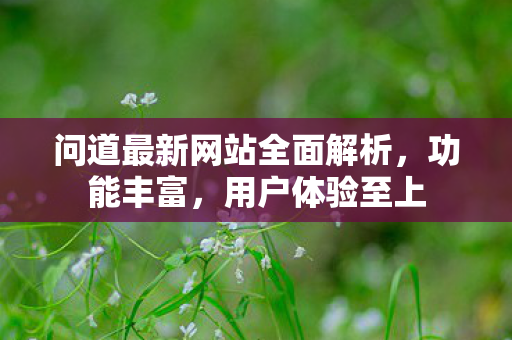 问道最新网站全面解析，功能丰富，用户体验至上