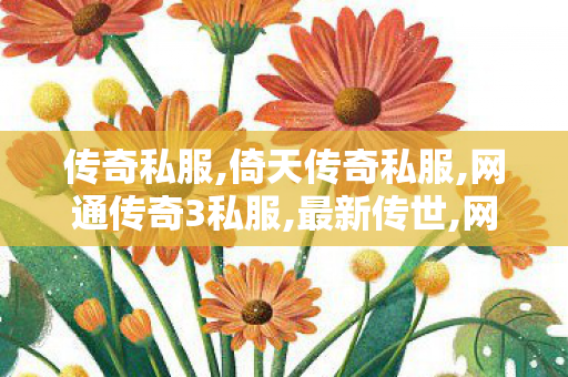 传奇私服,倚天传奇私服,网通传奇3私服,最新传世,网通传奇3私服