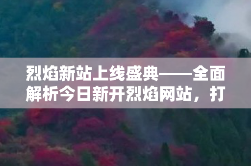 烈焰新站上线盛典——全面解析今日新开烈焰网站，打造优质用户体验