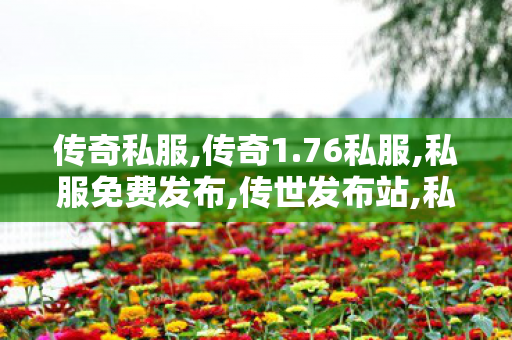 传奇私服,传奇1.76私服,私服免费发布,传世发布站,私服免费发布