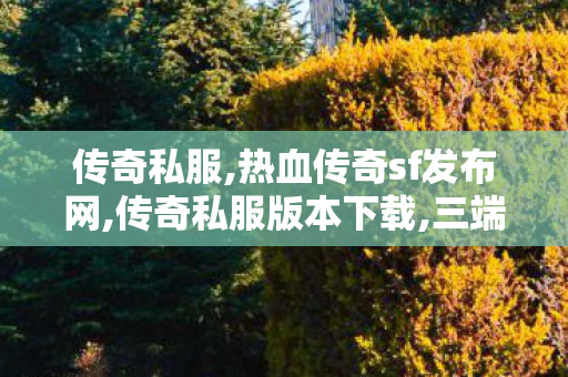 传奇私服,热血传奇sf发布网,传奇私服版本下载,三端互通超变传奇网站,传奇私服版本下载