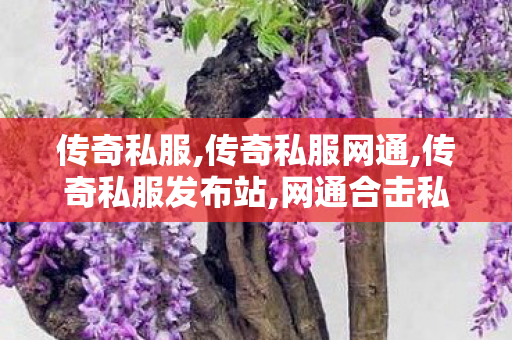 传奇私服,传奇私服网通,传奇私服发布站,网通合击私服,传奇私服发布站