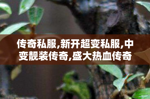 传奇私服,新开超变私服,中变靓装传奇,盛大热血传奇私服,中变靓装传奇