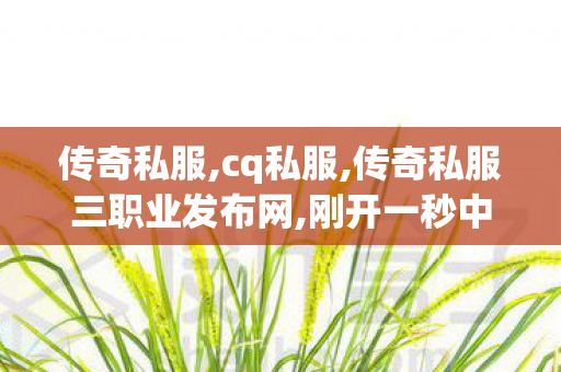 传奇私服,cq私服,传奇私服三职业发布网,刚开一秒中变传奇发布网,传奇私服三职业发布网