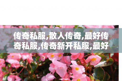 传奇私服,散人传奇,最好传奇私服,传奇新开私服,最好传奇私服