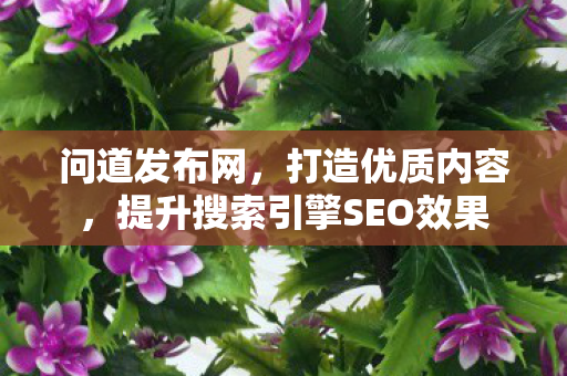 问道发布网，打造优质内容，提升搜索引擎SEO效果