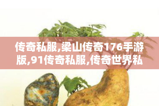 传奇私服,梁山传奇176手游版,91传奇私服,传奇世界私服发布,91传奇私服