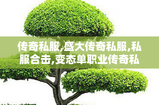 传奇私服,盛大传奇私服,私服合击,变态单职业传奇私服,私服合击