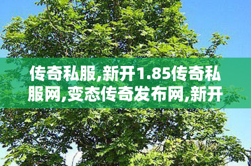 传奇私服,新开1.85传奇私服网,变态传奇发布网,新开传世中变私服,变态传奇发布网