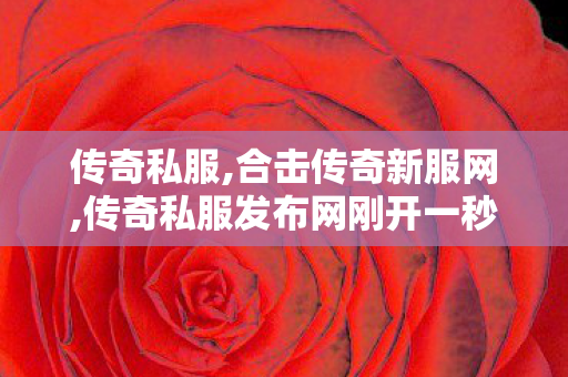 传奇私服,合击传奇新服网,传奇私服发布网刚开一秒,新开传奇微变网站,传奇私服发布网刚开一秒