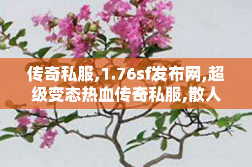 传奇私服,1.76sf发布网,超级变态热血传奇私服,散人传奇安锋游戏,超级变态热血传奇私服