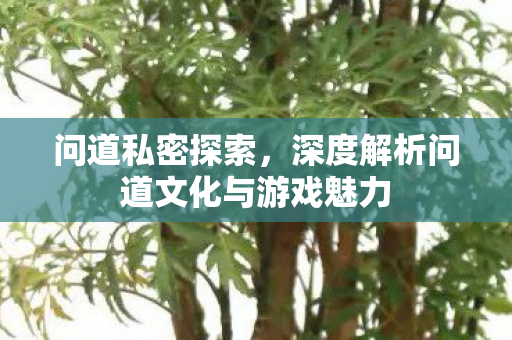 问道私密探索，深度解析问道文化与游戏魅力