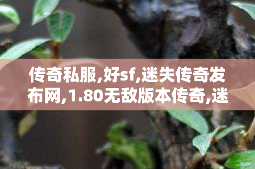传奇私服,好sf,迷失传奇发布网,1.80无敌版本传奇,迷失传奇发布网