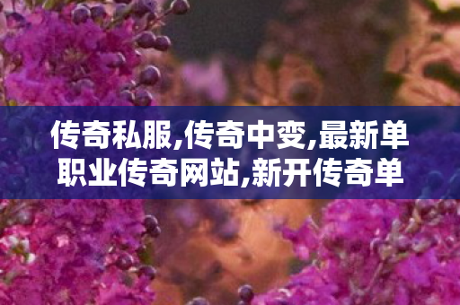 传奇私服,传奇中变,最新单职业传奇网站,新开传奇单职业私服,最新单职业传奇网站