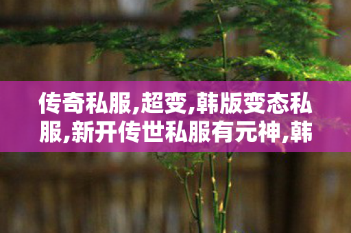 传奇私服,超变,韩版变态私服,新开传世私服有元神,韩版变态私服