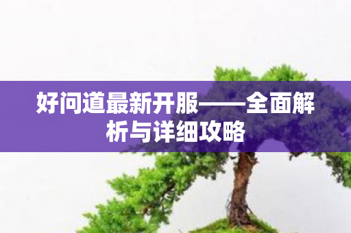 好问道最新开服——全面解析与详细攻略