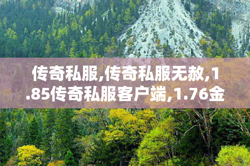 传奇私服,传奇私服无赦,1.85传奇私服客户端,1.76金币传奇,1.85传奇私服客户端