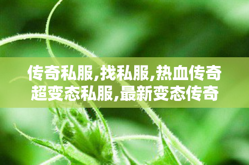 传奇私服,找私服,热血传奇超变态私服,最新变态传奇,热血传奇超变态私服