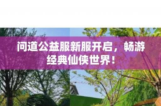 问道公益服新服开启，畅游经典仙侠世界！