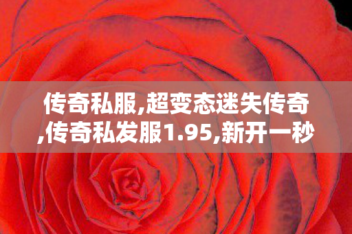 传奇私服,超变态迷失传奇,传奇私发服1.95,新开一秒传世sf网站,传奇私发服1.95
