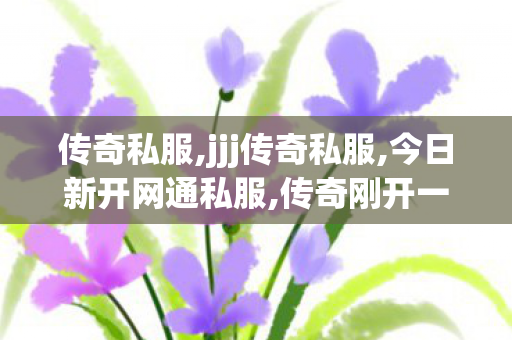 传奇私服,jjj传奇私服,今日新开网通私服,传奇刚开一秒,今日新开网通私服