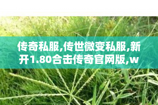 传奇私服,传世微变私服,新开1.80合击传奇官网版,wow私服,新开1.80合击传奇官网版