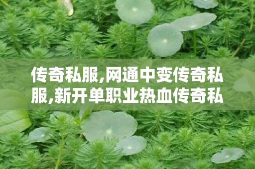 传奇私服,网通中变传奇私服,新开单职业热血传奇私服,今日新开变态传奇私服,新开单职业热血传奇私服