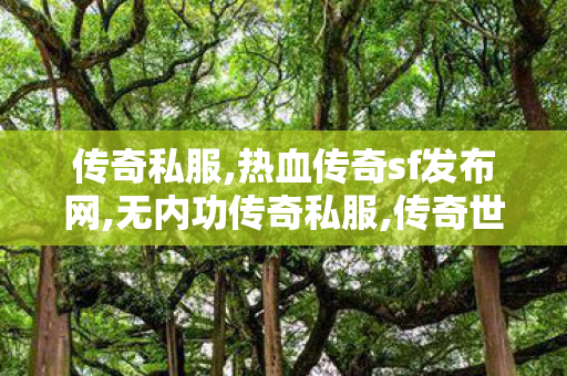 传奇私服,热血传奇sf发布网,无内功传奇私服,传奇世界0复古私服,无内功传奇私服