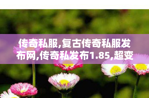传奇私服,复古传奇私服发布网,传奇私发布1.85,超变态网页传奇,传奇私发布1.85
