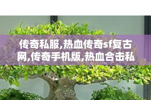 传奇私服,热血传奇sf复古网,传奇手机版,热血合击私服传奇,传奇手机版