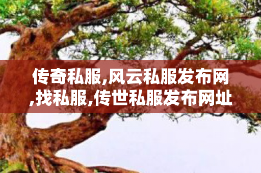 传奇私服,风云私服发布网,找私服,传世私服发布网址,找私服