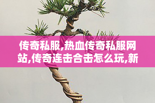 传奇私服,热血传奇私服网站,传奇连击合击怎么玩,新开sf网站,传奇连击合击怎么玩