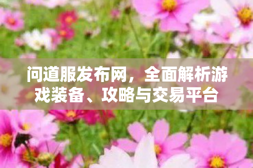 问道服发布网，全面解析游戏装备、攻略与交易平台