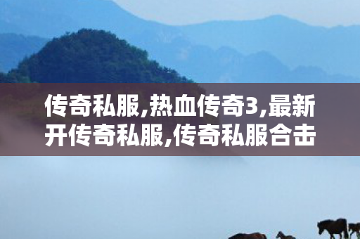 传奇私服,热血传奇3,最新开传奇私服,传奇私服合击,最新开传奇私服
