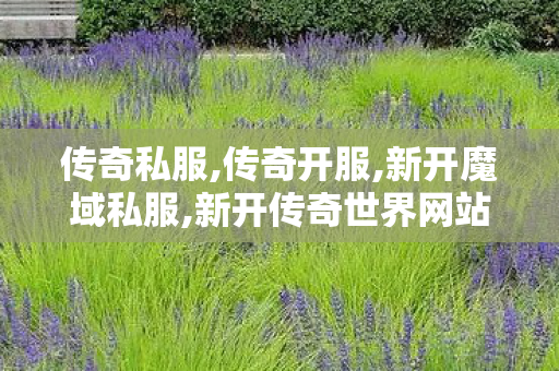 传奇私服,传奇开服,新开魔域私服,新开传奇世界网站中变私服,新开魔域私服