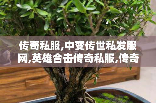 传奇私服,中变传世私发服网,英雄合击传奇私服,传奇私服1.85发布网,英雄合击传奇私服