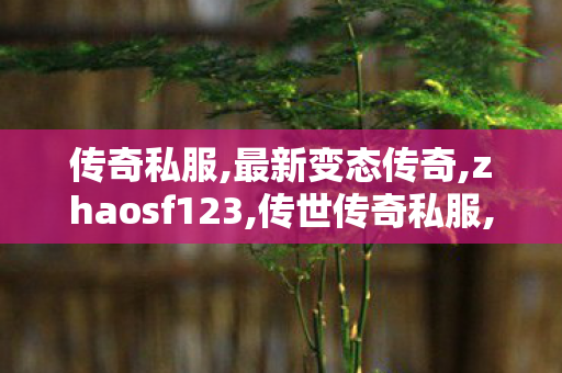传奇私服,最新变态传奇,zhaosf123,传世传奇私服,zhaosf123