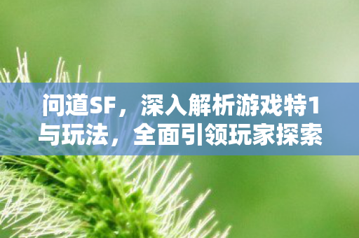 问道SF，深入解析游戏特1与玩法，全面引领玩家探索奇幻世界