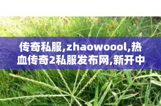 传奇私服,zhaowoool,热血传奇2私服发布网,新开中变传奇世界sf,热血传奇2私服发布网