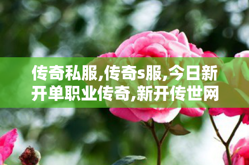 传奇私服,传奇s服,今日新开单职业传奇,新开传世网站发布网,今日新开单职业传奇