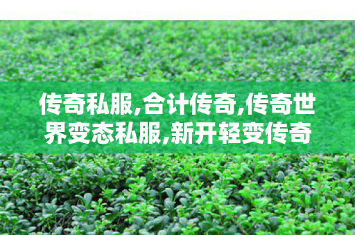 传奇私服,合计传奇,传奇世界变态私服,新开轻变传奇sf,传奇世界变态私服