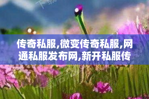 传奇私服,微变传奇私服,网通私服发布网,新开私服传世,网通私服发布网