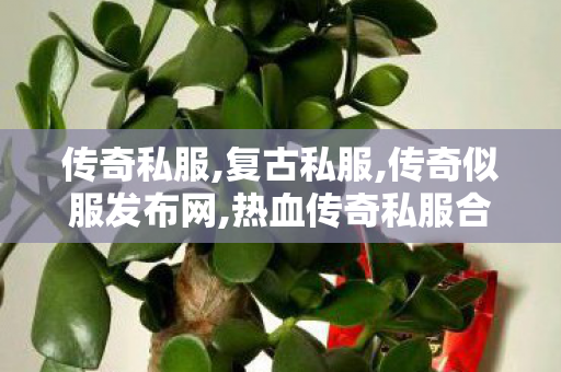传奇私服,复古私服,传奇似服发布网,热血传奇私服合击版,传奇似服发布网