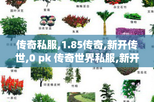 传奇私服,1.85传奇,新开传世,0 pk 传奇世界私服,新开传世