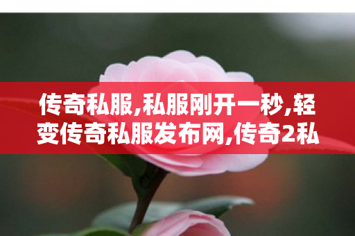 传奇私服,私服刚开一秒,轻变传奇私服发布网,传奇2私服发布网,轻变传奇私服发布网